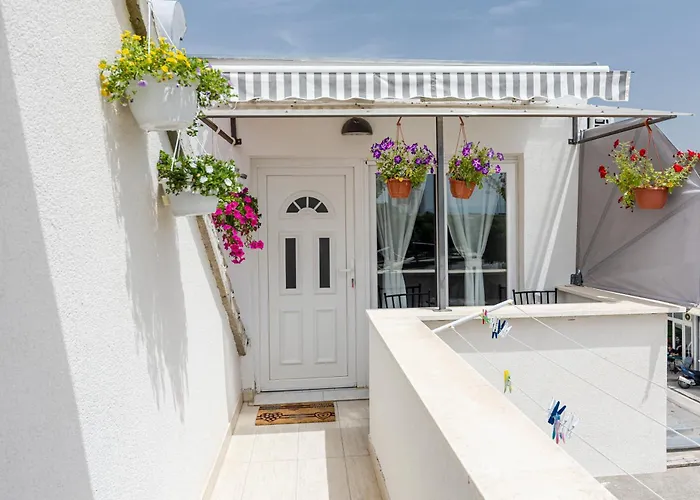 House Niko M With 6 Apartament