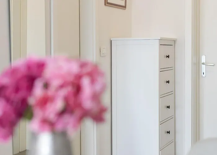 House Niko M With 6 *